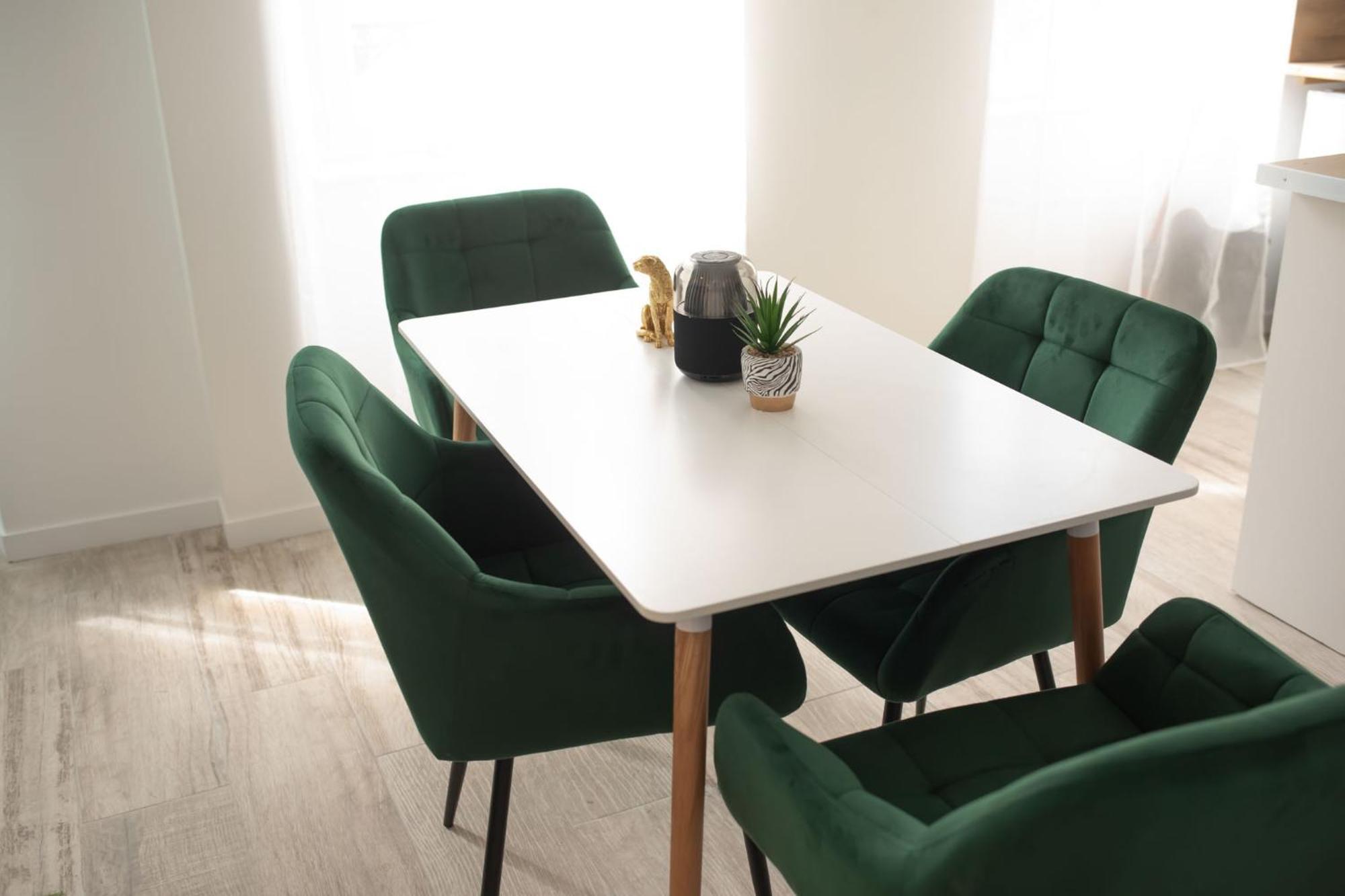 Jungle Appartement Lumineux Plein Centre Булонь-сюр-Мер Экстерьер фото